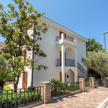 Markokop Petrovac المظهر الخارجي الصورة